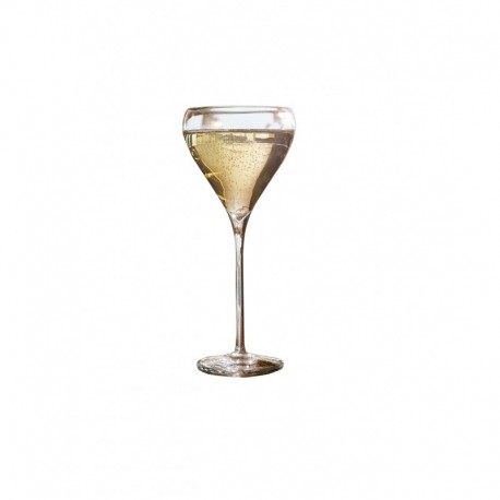 Brio coupe a champagne