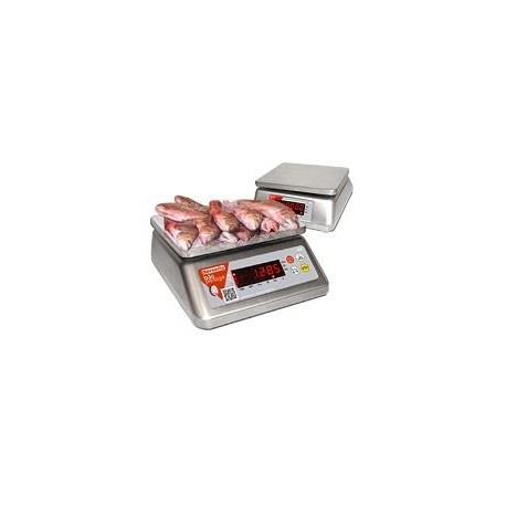 BALANCE COMPACT INOX 30KG/2G