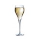BRIO FLUTE 16CL