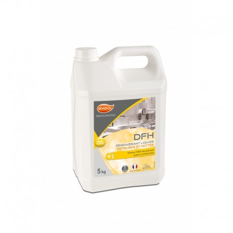 Perfo friteuse x 5 l